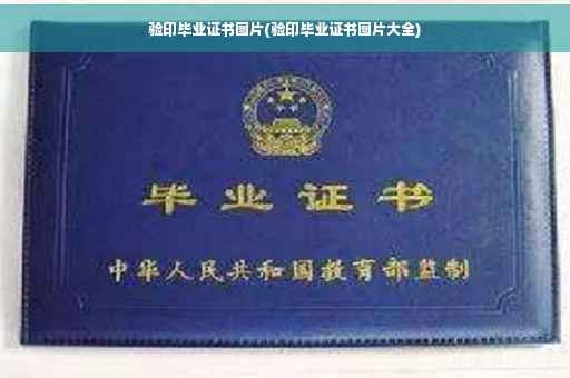 验印毕业证书图片(验印毕业证书图片大全)