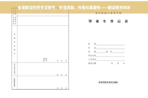 全面解读在校生证明书，申请流程、作用与重要性——附证明书范本