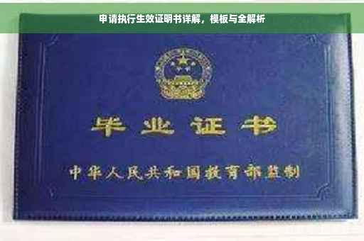申请执行生效证明书详解，模板与全解析