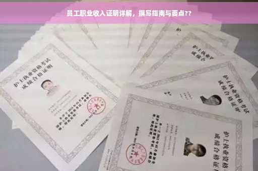 员工职业收入证明详解，撰写指南与要点??