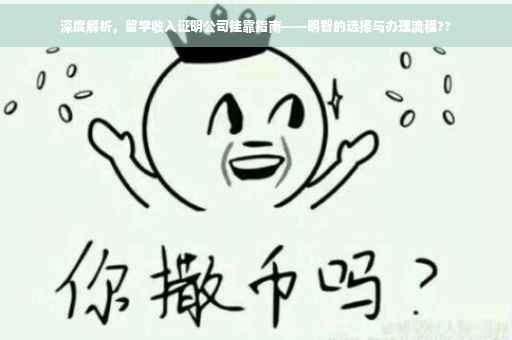 深度解析，留学收入证明公司挂靠指南——明智的选择与办理流程??