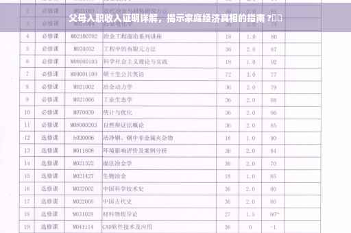 父母入职收入证明详解，揭示家庭经济真相的指南 ?⚡️