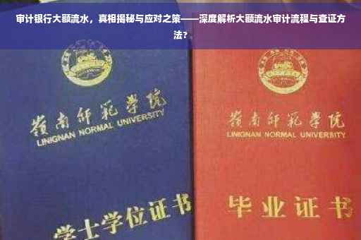 审计银行大额流水，真相揭秘与应对之策——深度解析大额流水审计流程与查证方法?