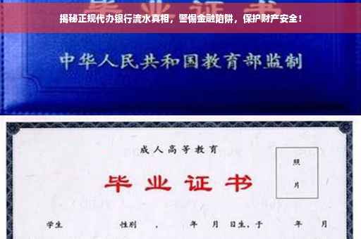 揭秘正规代办银行流水真相，警惕金融陷阱，保护财产安全！