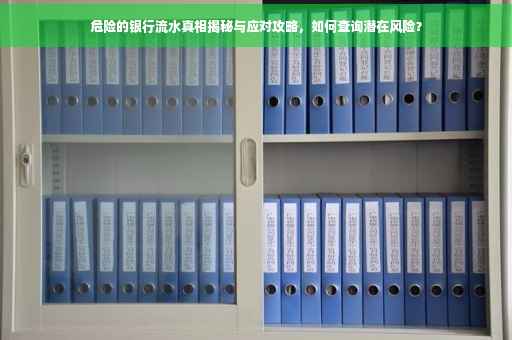 危险的银行流水真相揭秘与应对攻略，如何查询潜在风险？