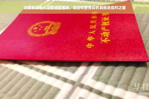 出国签证收入证明造假揭秘，违法犯罪背后的真相及应对之策