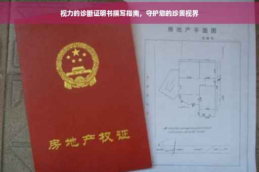 视力的诊断证明书撰写指南，守护您的珍贵视界