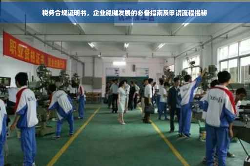 税务合规证明书，企业稳健发展的必备指南及申请流程揭秘
