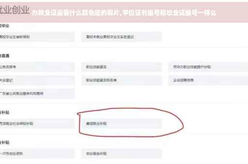 办就业证需要什么颜色底的照片,学位证书编号和毕业证编号一样么