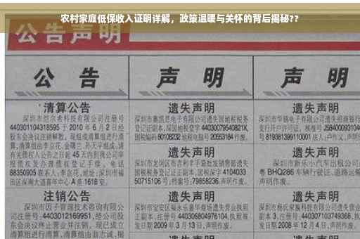农村家庭低保收入证明详解，政策温暖与关怀的背后揭秘??