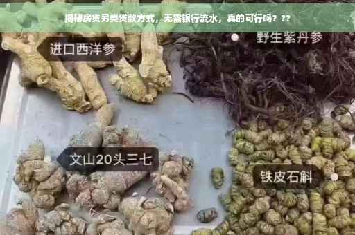 揭秘房贷另类贷款方式，无需银行流水，真的可行吗？??