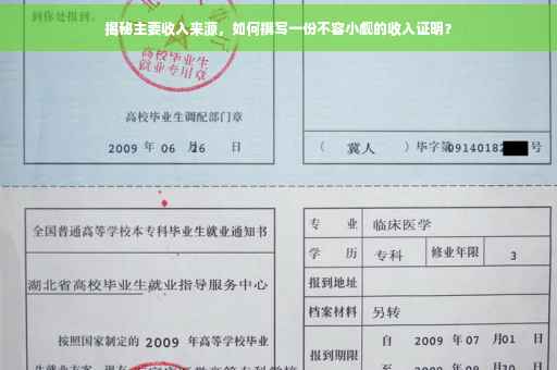 揭秘主要收入来源，如何撰写一份不容小觑的收入证明？