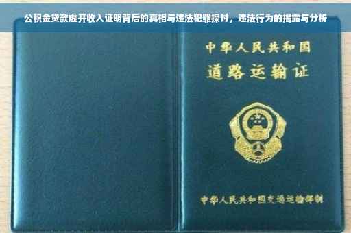 公积金贷款虚开收入证明背后的真相与违法犯罪探讨，违法行为的揭露与分析