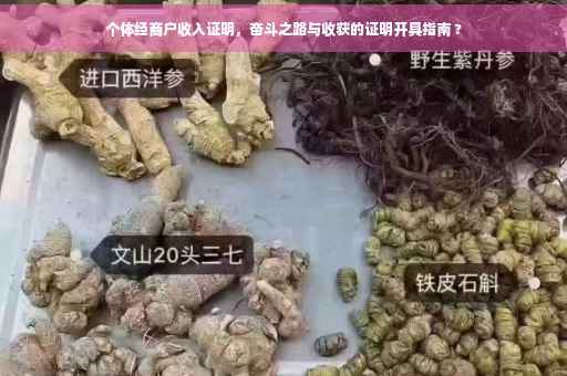 个体经商户收入证明，奋斗之路与收获的证明开具指南 ?