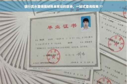 银行流水查询揭秘账单背后的故事，一站式查询指南 ??