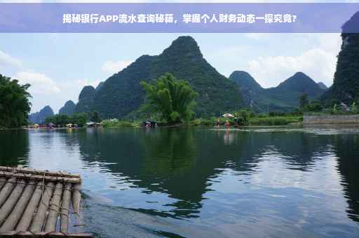 揭秘银行APP流水查询秘籍，掌握个人财务动态一探究竟?
