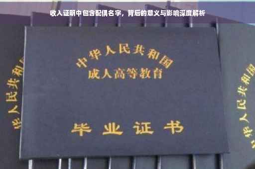 收入证明中包含配偶名字，背后的意义与影响深度解析
