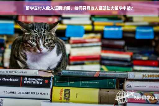 留学支付人收入证明详解，如何开具收入证明助力留学申请?