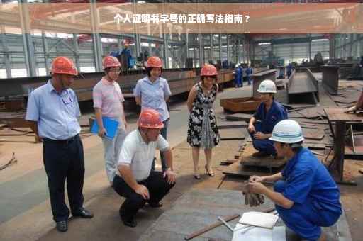 个人证明书字号的正确写法指南 ?