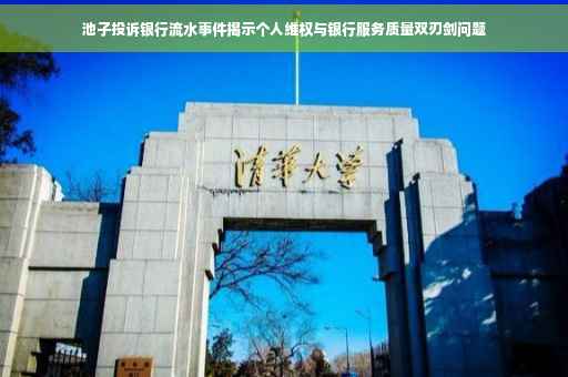 池子投诉银行流水事件揭示个人维权与银行服务质量双刃剑问题