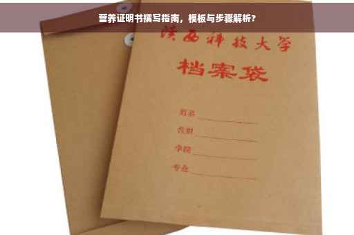 营养证明书撰写指南，模板与步骤解析?