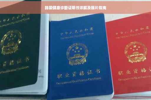 韩国健康诊断证明书详解及图片指南