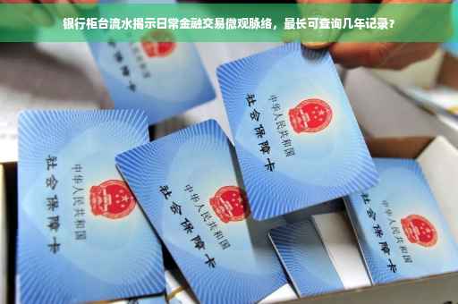 银行柜台流水揭示日常金融交易微观脉络，最长可查询几年记录？