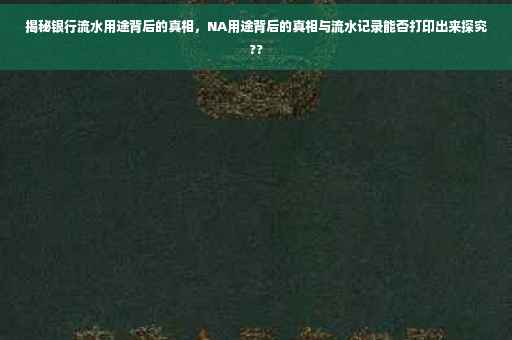 揭秘银行流水用途背后的真相，NA用途背后的真相与流水记录能否打印出来探究??