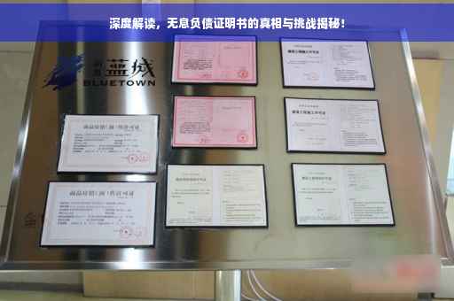 深度解读，无息负债证明书的真相与挑战揭秘！
