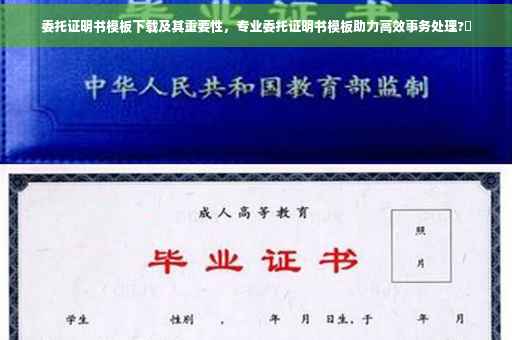 委托证明书模板下载及其重要性，专业委托证明书模板助力高效事务处理?✨