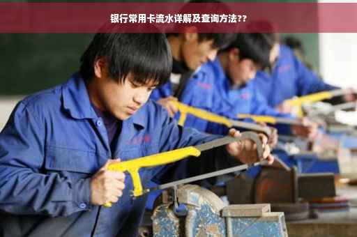 银行常用卡流水详解及查询方法??
