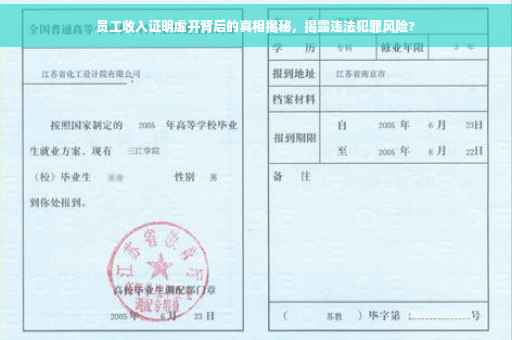 员工收入证明虚开背后的真相揭秘，揭露违法犯罪风险?