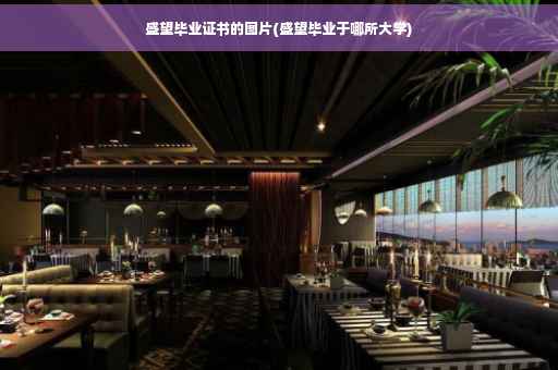 盛望毕业证书的图片(盛望毕业于哪所大学)