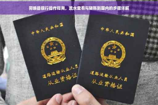 劳埃德银行操作指南，流水查看与转账到国内的步骤详解