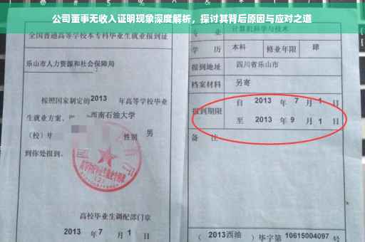 公司董事无收入证明现象深度解析，探讨其背后原因与应对之道