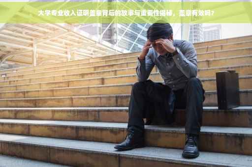 大学专业收入证明盖章背后的故事与重要性揭秘，盖章有效吗？