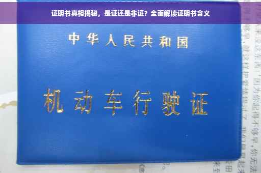 证明书真相揭秘，是证还是非证？全面解读证明书含义