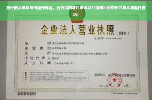 银行流水批量转出操作详解，高效指南与注意事项??揭秘批量转出的意义与操作技巧！