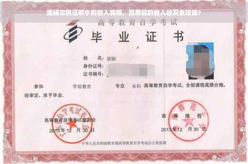 揭秘完税证明中的收入真相，洞悉你的收入状况全攻略?