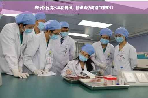 农行银行流水真伪揭秘，辨别真伪与防范策略??