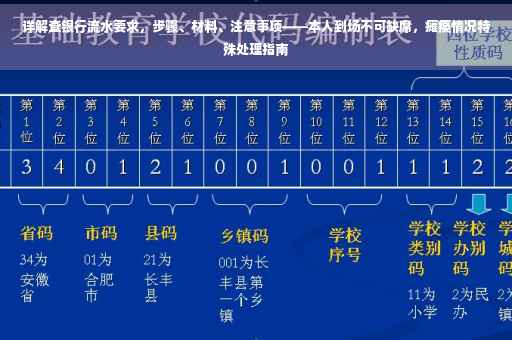 详解查银行流水要求，步骤、材料、注意事项——本人到场不可缺席，瘫痪情况特殊处理指南