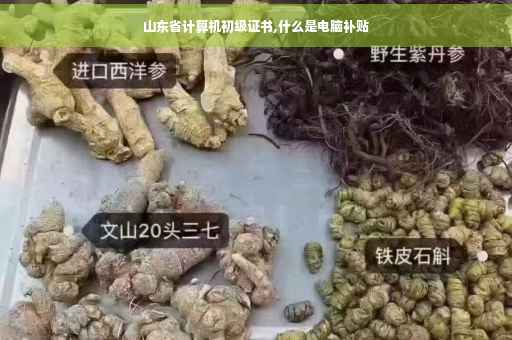 山东省计算机初级证书,什么是电脑补贴