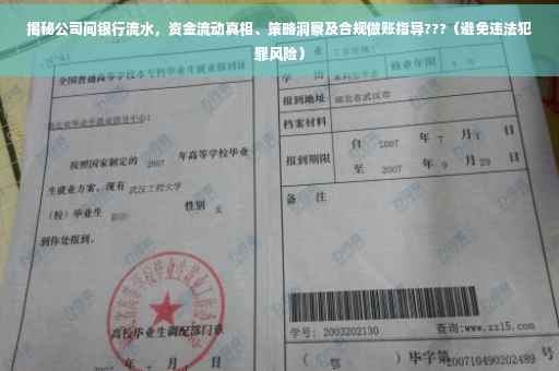 揭秘公司间银行流水，资金流动真相、策略洞察及合规做账指导???（避免违法犯罪风险）
