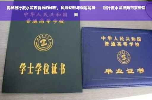揭秘银行流水监控背后的秘密，风险规避与误解解析——银行流水监控防范策略指南