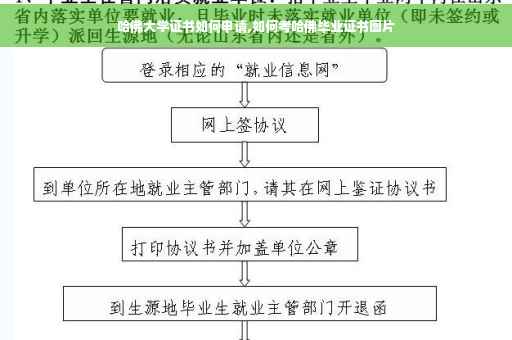 哈佛大学证书如何申请,如何考哈佛毕业证书图片