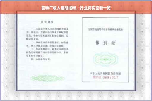 面粉厂收入证明揭秘，行业真实面貌一览