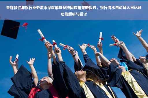 金蝶软件与银行业务流水深度解析及协同应用策略探讨，银行流水自动导入日记账功能解析与探讨