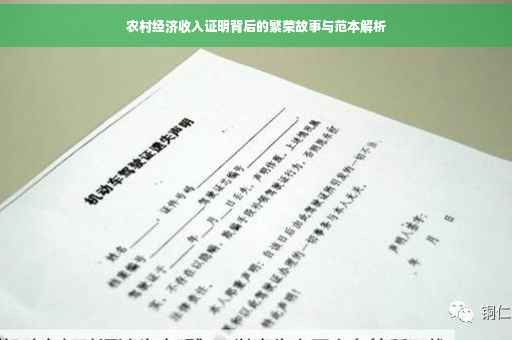 农村经济收入证明背后的繁荣故事与范本解析