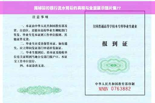 揭秘回扣银行流水背后的真相与全景展示图片集??