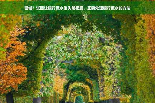 警惕！试图让银行流水消失是犯罪，正确处理银行流水的方法
